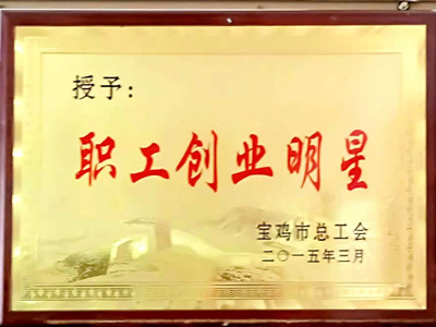 职工创业明星
